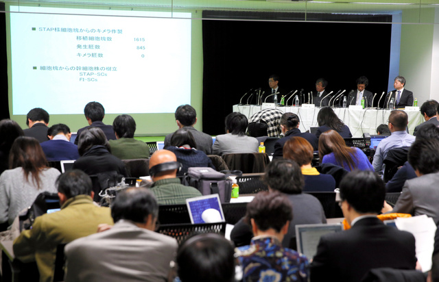 存在否定で「正体はＥＳ細胞」の疑い強まる