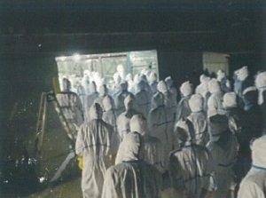 アピタルトップ > ニュース > 山口の養鶏場、防疫措置終える 鳥インフル