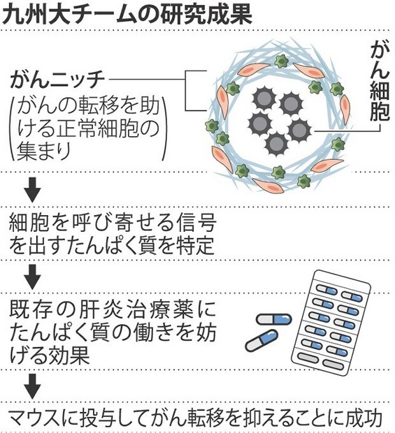がん転移を抑える薬剤 九大、マウス実験で確認