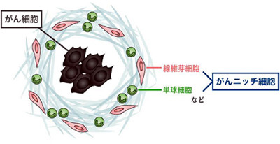 がんの転移抑える既存薬を発見