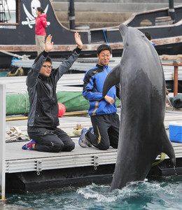 浜田智、「ドルフィンプログラム」を体験