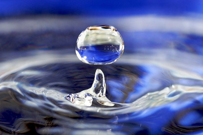 スギ花粉症「舌下免疫療法」で予防、国内では今シーズンから保険適用の薬