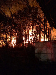 京都の高台寺で火災 物置全焼、文化財の焼失なし