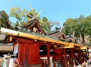 春日大社:本殿を特別公開…４月１日から 奈良
