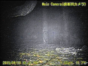 福島第一１号機、格納容器内のロボット調査終了 2015年04月16日 19時42分