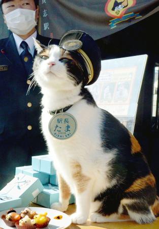 地方鉄道を救った「招き猫」 たま駅長、世界中がお別れ