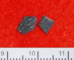 新種の恐竜か 卵の殻の化石発見 兵庫