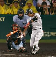 原巨人突き放した阪神江越弾「毎日アピール」