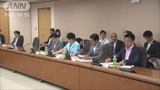 「多子世帯への支援を」幼児教育無償化の拡充検討