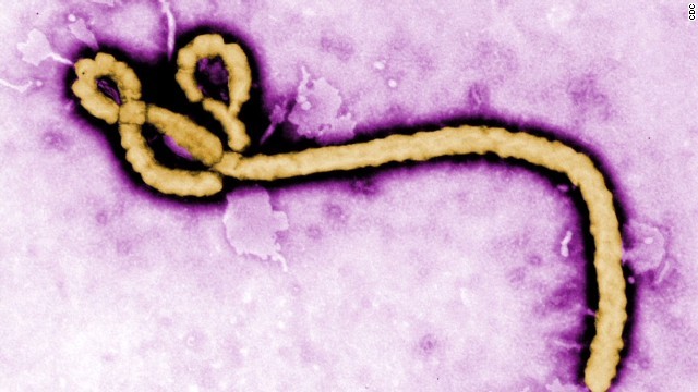 エボラ新ワクチン、高い効果確認 ＷＨＯが臨床試験