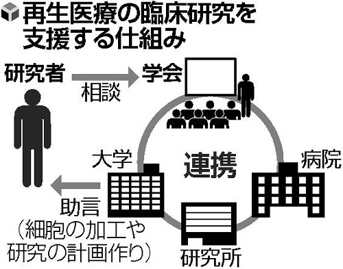 再生医療の臨床研究促進、厚労省が新組織発足へ 2015年08月31日 17時18分
