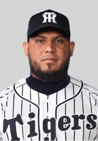 甲子園にドローン襲来 “犯人”阪神ゴメス厳重注意