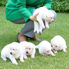 石破派の名称「水月会」に 自民新派閥、２８日にも設立