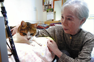 独居老人支えたペット、死後残されるケース多発 2015年10月11日 15時30分