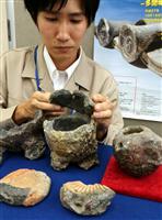 【動画】江戸初期の奈良で真鍮製造 容器や刀装具の鋳型出土