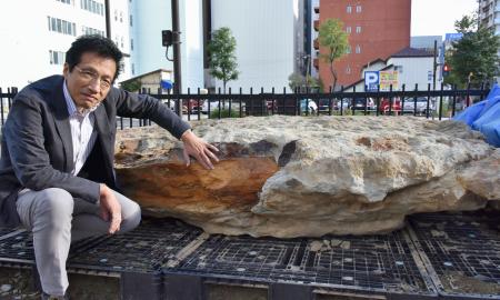 化石の鯨は国内最大級、北海道 推定全長１８ｍ、体重３０トン