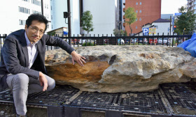 国内最大級の鯨の化石 推定全長18メートル、体重30トン