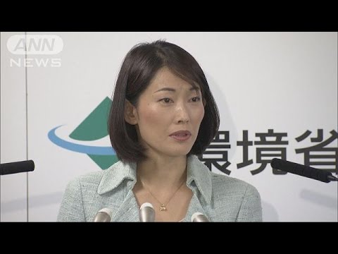 政府、温暖化影響で初の「適応計画」豪雨、洪水被害やコメ大幅減収など予測