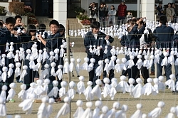 てるてる坊主１万１７４４個、池田でギネスに挑戦