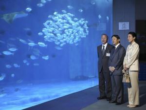 皇太子ご夫妻が鹿児島へ、水族館を訪問 2015年10月30日 21時17分