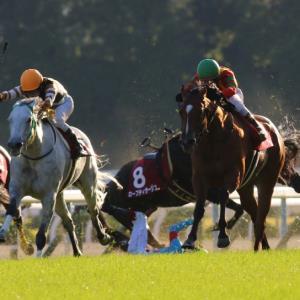 福永騎手が落馬負傷＝天皇賞・秋は吉田豊騎手に変更－競馬