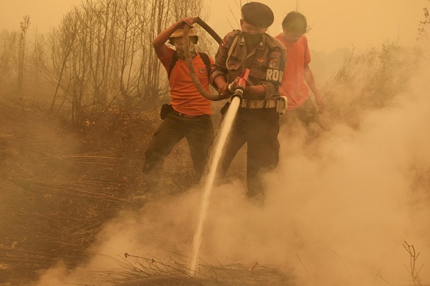 インドネシア：森林火災猛威 ＣＯ２、１６億トン 日本の年間排出量超す