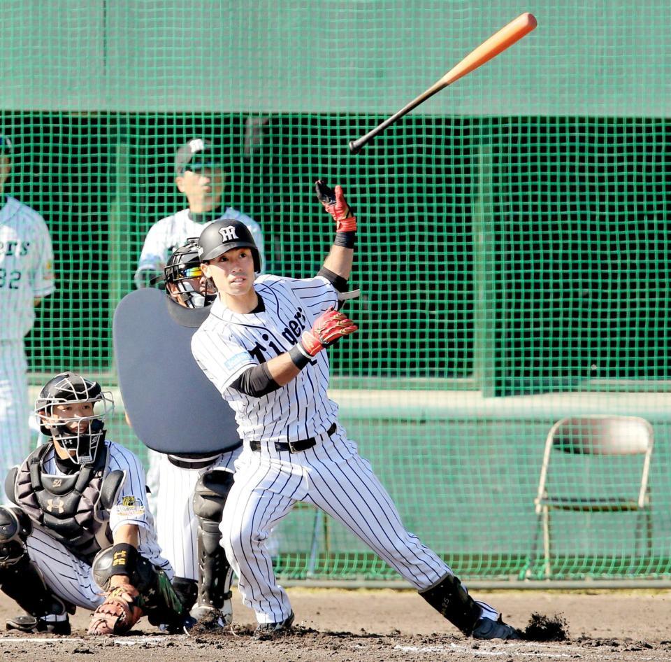 阪神金本監督が不意打ち初采配 １日前倒し紅白戦