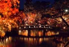 永観堂禅林寺：色づき始めた京の木々ライトアップ