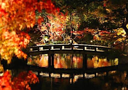 「秋はもみじの永観堂」試験点灯