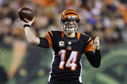 ベンガルズ、開幕８連勝 ＮＦＬ第９週第１日