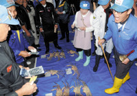 カニお出まし 港沸く…漁解禁 初せり最高値４０万円 2015年11月07日