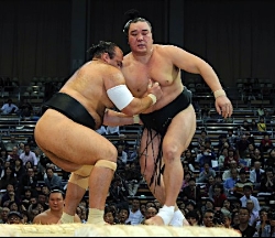 日馬富士と２大関敗れる 嘉風は連日殊勲星