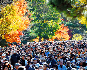 皇居・乾通りを今年も１２月に公開