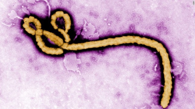エボラ終息宣言のリベリア、新たに３人の感染を確認