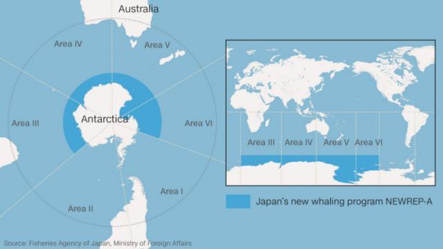 日本の調査捕鯨船、南極海へ出発 ２年ぶりに捕鯨再開