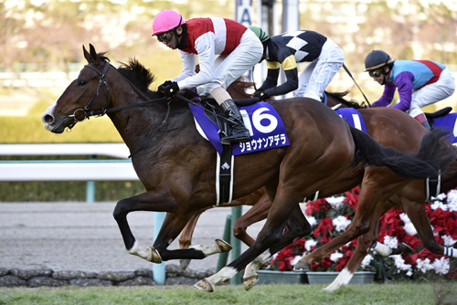 ばんえい競馬関係先を捜索 騎手ら馬券購入か