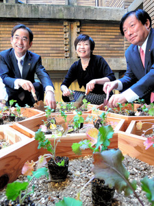 首相公邸で昭恵夫人、福島の菜の花植栽 蜂蜜も採集中