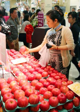 青森産リンゴの販売開始＝イオングループ店舗で－ベトナム