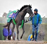 【有馬記念】波乱の結末 伏兵ゴールドアクターがＧ１初制覇