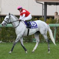 【有馬記念】吉田隼 悲願のＧ１制覇「くじけないでやっていれば…」