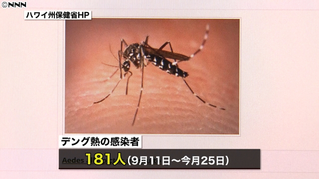 小頭症児急増…蚊媒介感染症、妊婦は渡航自粛を