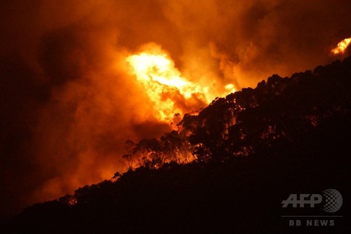 豪ビクトリア州で森林火災、住宅100軒以上が焼失