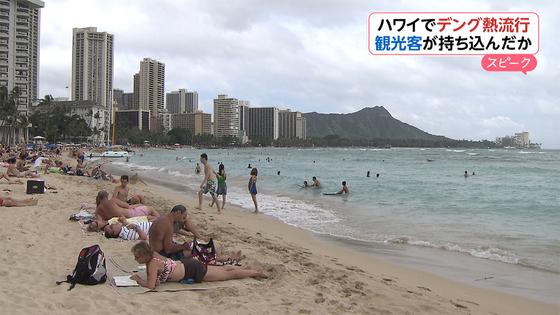 ハワイでデング熱流行 観光客によって持ち込まれた可能性