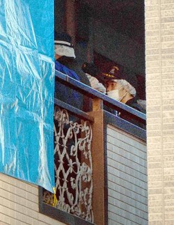 自宅で遺体切断、遺棄＝容疑で２９歳女逮捕—大阪府警