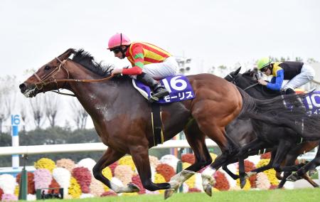 ＪＲＡ、１５年度代表馬にモーリス…６戦全勝