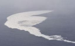 オホーツク海の流氷初観測 網走の北２８０キロ