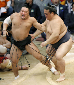 ストップ・ザ・外国人力士 稀勢にチャンスあり 玉ノ井親方期待