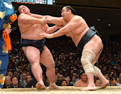 安美錦、取り直しに「もう一丁かよ」 足の震え止まらずも稀勢破る／初場所
