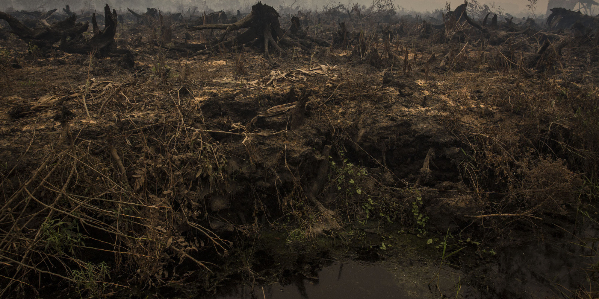 野党が焼け野原も選択肢…江田氏、民主解党迫る 2016年01月12日 20時28分