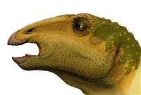 1・2億年前の新種イグアノドン類化石、タイで発見 福井県立大調査、全長6メートルか